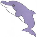 돌고래 색칠공부 이미지