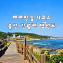 해파랑길 4코스 | 해파랑길 4코스 울산 간절곶 명선도