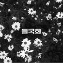 광고타운 이미지