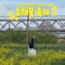 낙동강레일파크 주차장 이미지