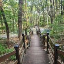 은적사입구 이미지