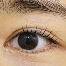미스두바이직영주유소 | 신동속눈썹펌 추천 이구네일&amp;뷰티 신동점 블랙마스카라펌 리뷰
