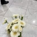 라노비아 | 라노비아 no-16 화이트커배라 본식 부케 후기