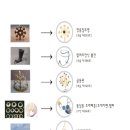 패브릭이야기 이미지