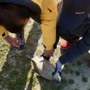 호암지낚시터 이미지