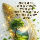 삼성아파트제2경로당 이미지