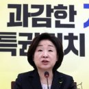 심상정 카카오 검색결과