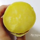 서아농장 이미지