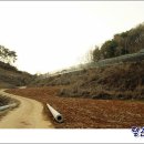 국지골부부농원