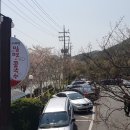 개성순대 티스토리