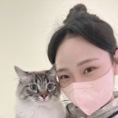 재이미 이미지