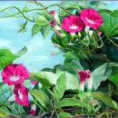 데생&수채화 이미지