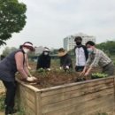 아롱이네 농장 이미지