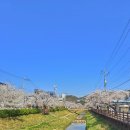 영신숲길1 이미지