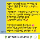 가만히봄 이미지