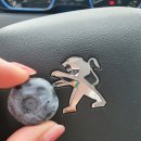 룰루베리팜 이미지