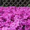 연인산스토리 이미지