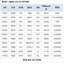 KT 25신인 계약 현황 이미지