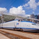 (주)한국반려동물아카데미 이미지