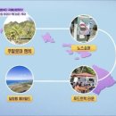 한국카-25시