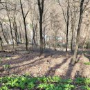 속리산 속 '충북알프스 자연휴양림'(2) 이미지