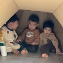 대전청사 아람어린이집 이미지