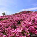 수원-0780 이미지