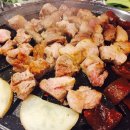 육덕돼지 이미지