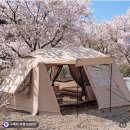 캠프힐 | 4인용 원터치텐트 추천, 캠핑 피칭 쉽게 끝낸 로티캠프 힐하우스 후기