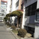 은성아파트 이미지