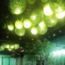 마이펫가든 이미지