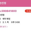빛손민정