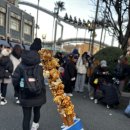 헤리포터인 | [오사카] 유니버설 스튜디오 재팬 후기 🎢 닌텐도월드·해리포터·꿀팁 총정리