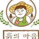 허브원앤선라이즈 이미지