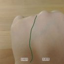 [일본 수하다 Dr.P 프로페셔널 에스테 UV]민감한 피부를 자외선으로부터 지켜주세요~^^