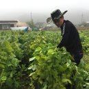 농업회사법인(주) 서원 네이버블로그