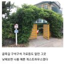 베티하우스 이미지