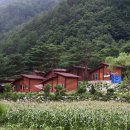 산촌마을 야영장 이미지