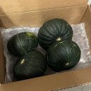 쥬이시팜 제주산 밤호박 구매 후기 밤호박 맛있게 먹는 방법