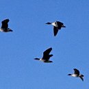 한강철책길 이미지