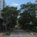 임광아파트 경로당 이미지