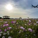 인천공항 하늘정원 이미지