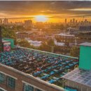 챗지피티사용 및 활용법 과정 이미지