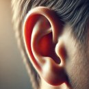조은소리보청기제주센터 | 노인 보청기 국가보조금지원 받는법
