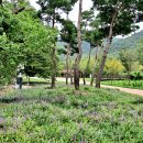 운곡생태습지길 3코스 이미지