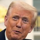 임기로 | 트럼프 임기, 2029년 종료? 4년의 비밀 파헤치기