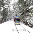 바다와 동굴 체험이 어우러진 `동해안 흑진주` 삼척 이미지