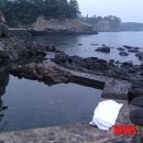 (주)더제주스토리 이미지