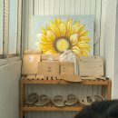 용잠로 | 창원 자연광 기념일촬영, 주남사진관 | 내돈내산 재방문 후기
