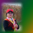 보령노인종합복지관 이미지